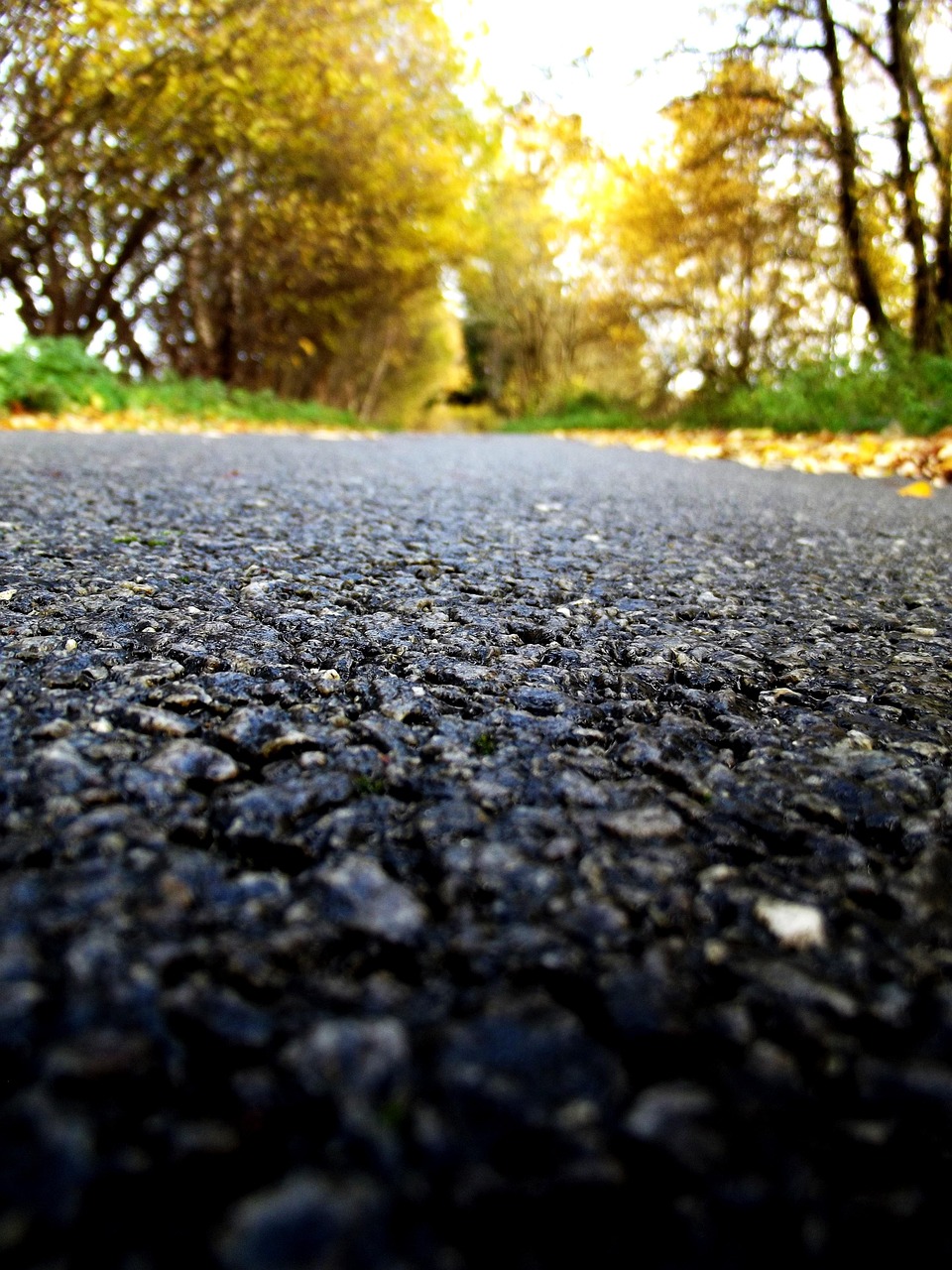 Paving Contractor